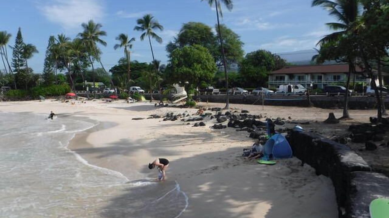Photo of Others in Kahaluu Bay