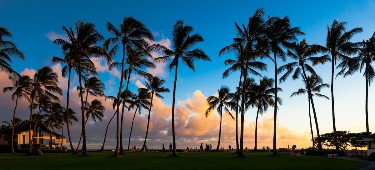 Photo of Others in Wailua