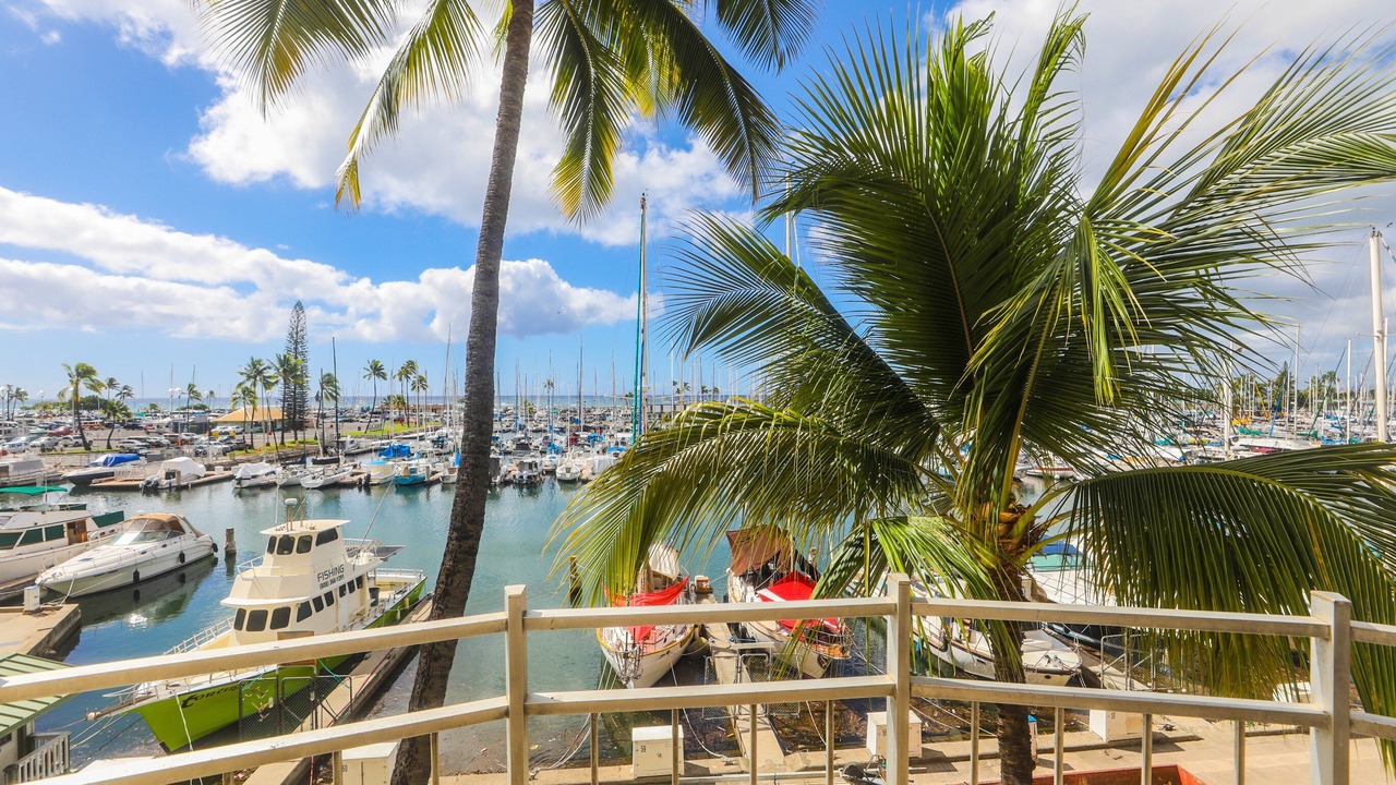 Photo of Outdoor in Waikiki