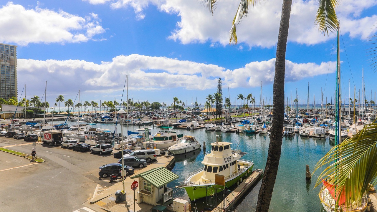 Photo of Others in Waikiki