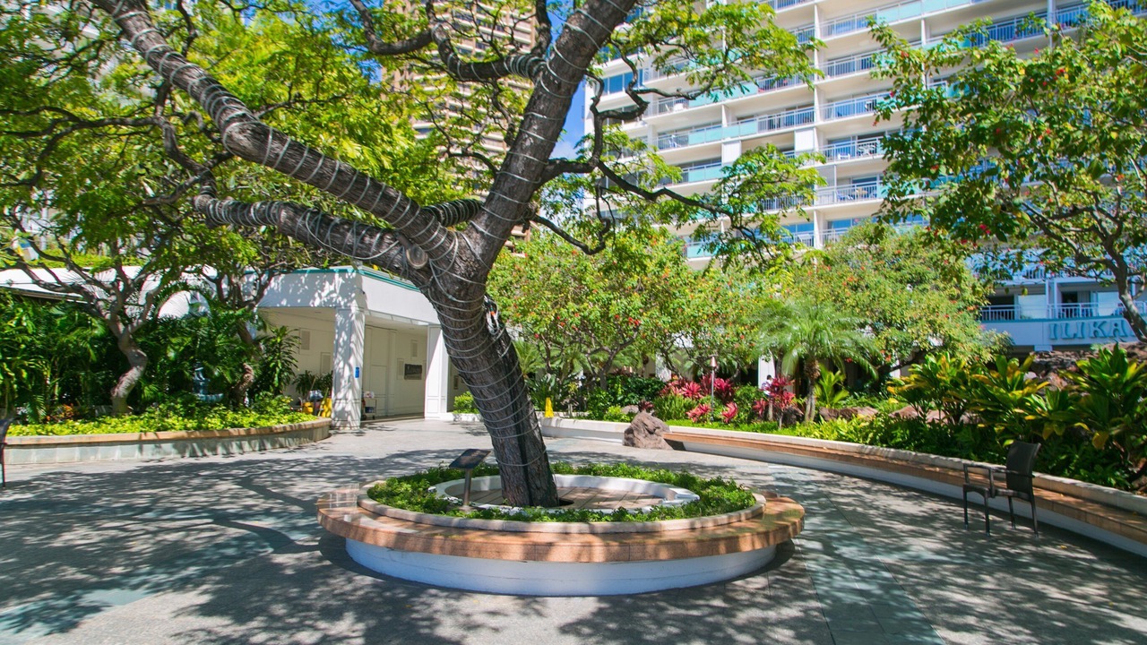 Photo of Outdoor in Waikiki
