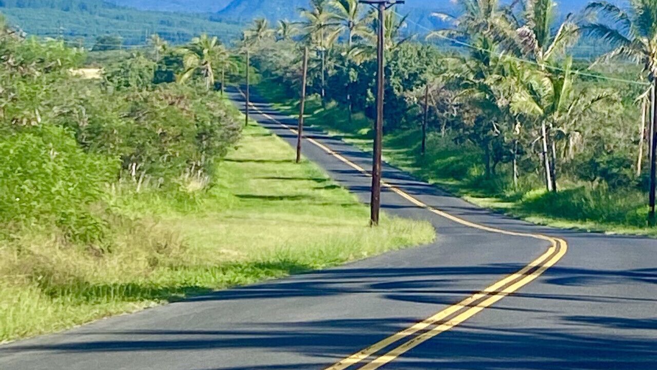 Photo of Others in Punaluu