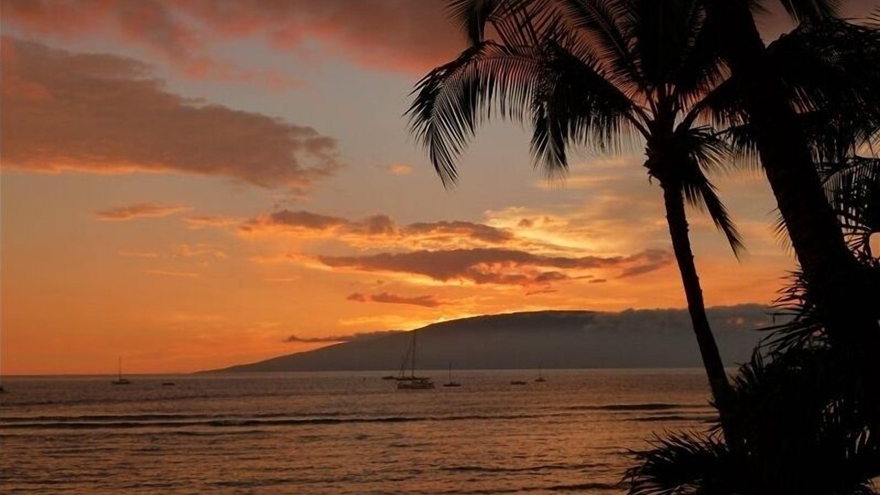 Photo of Others in Kaanapali