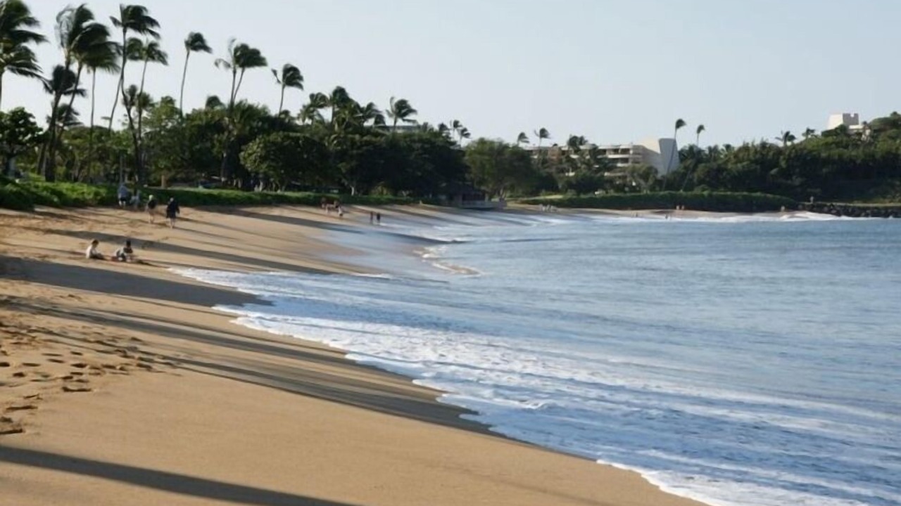 Photo of Others in Kaanapali