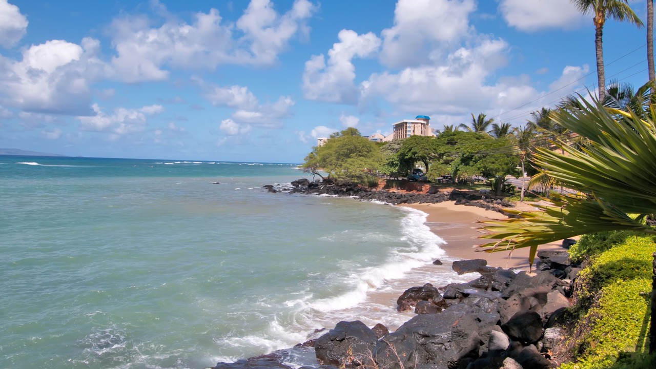 Photo of Others in Kahana