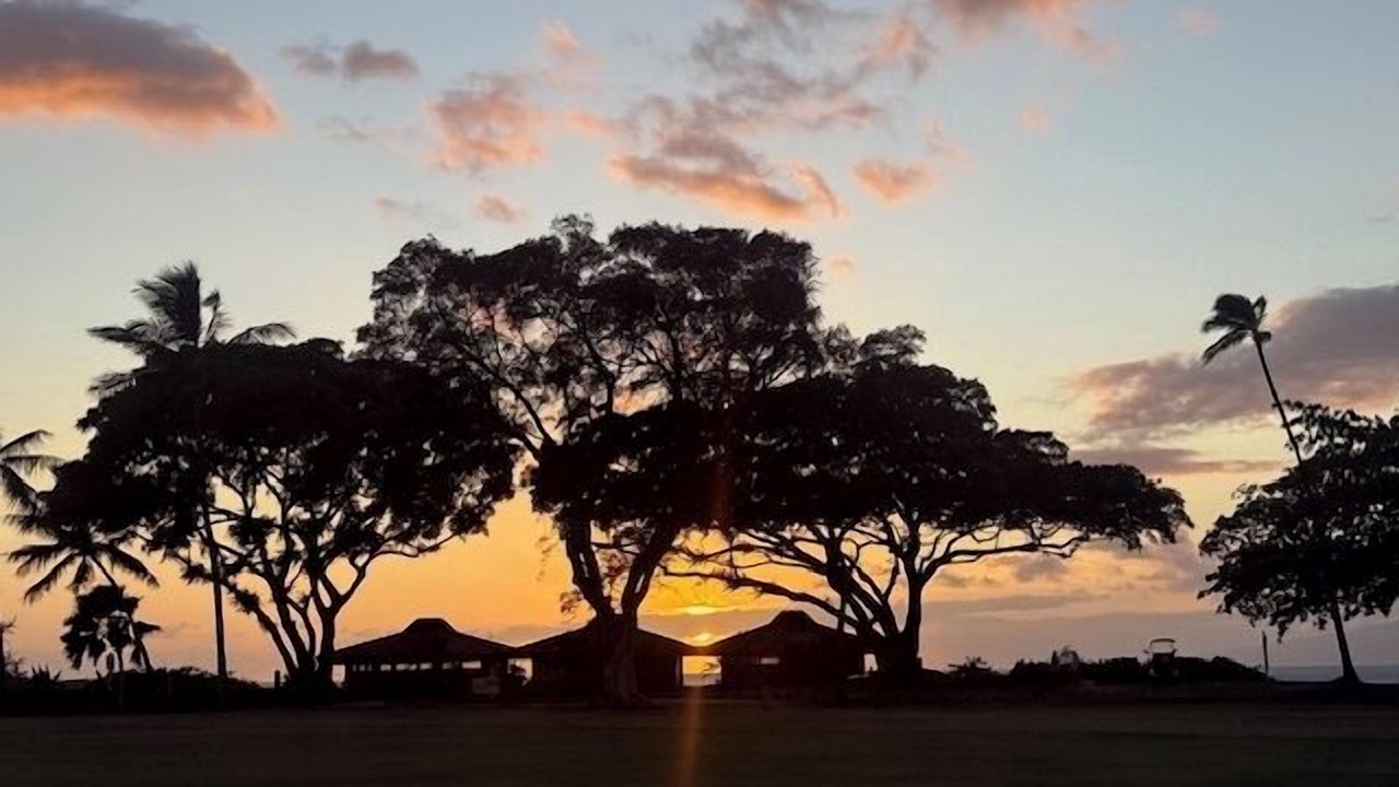 Photo of Others in Kaanapali