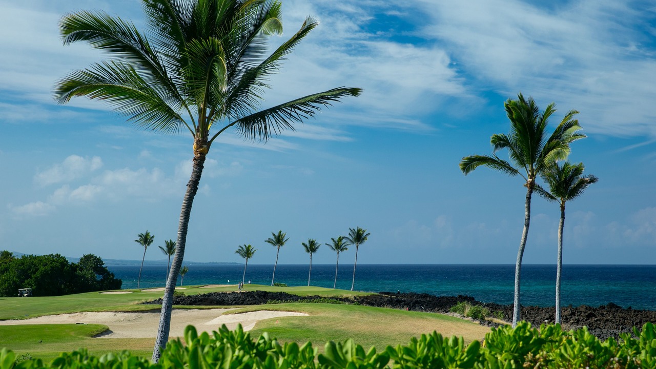 Photo of Others in Waikoloa