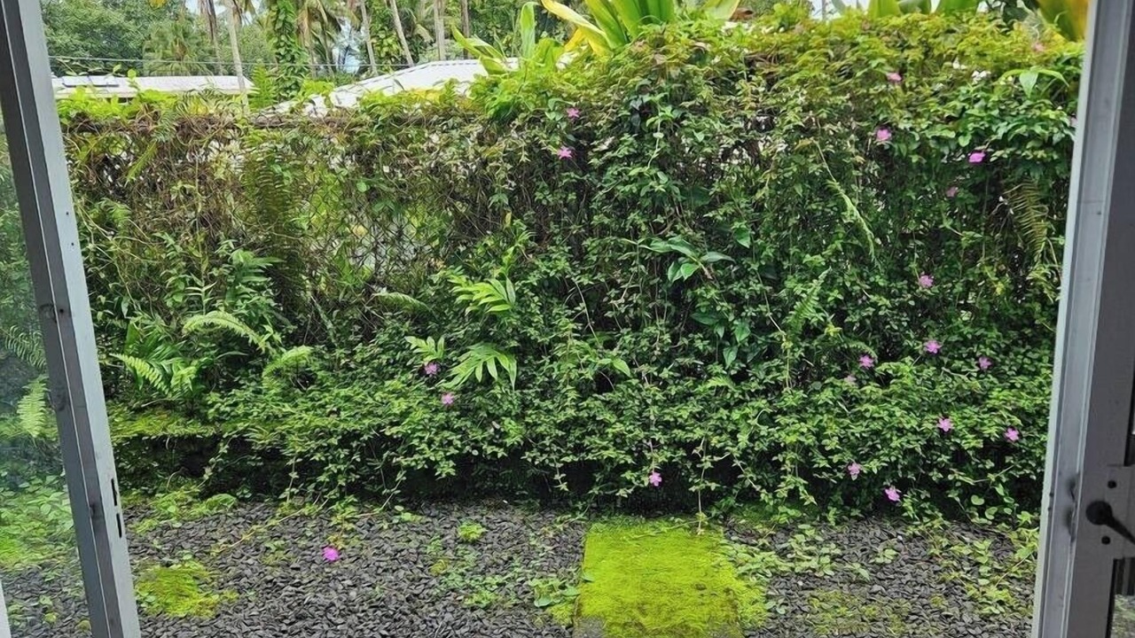 Photo of Outdoor in Keaukaha