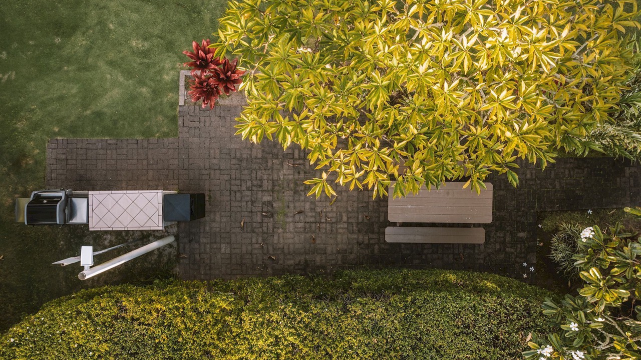 Photo of Outdoor in Wailua