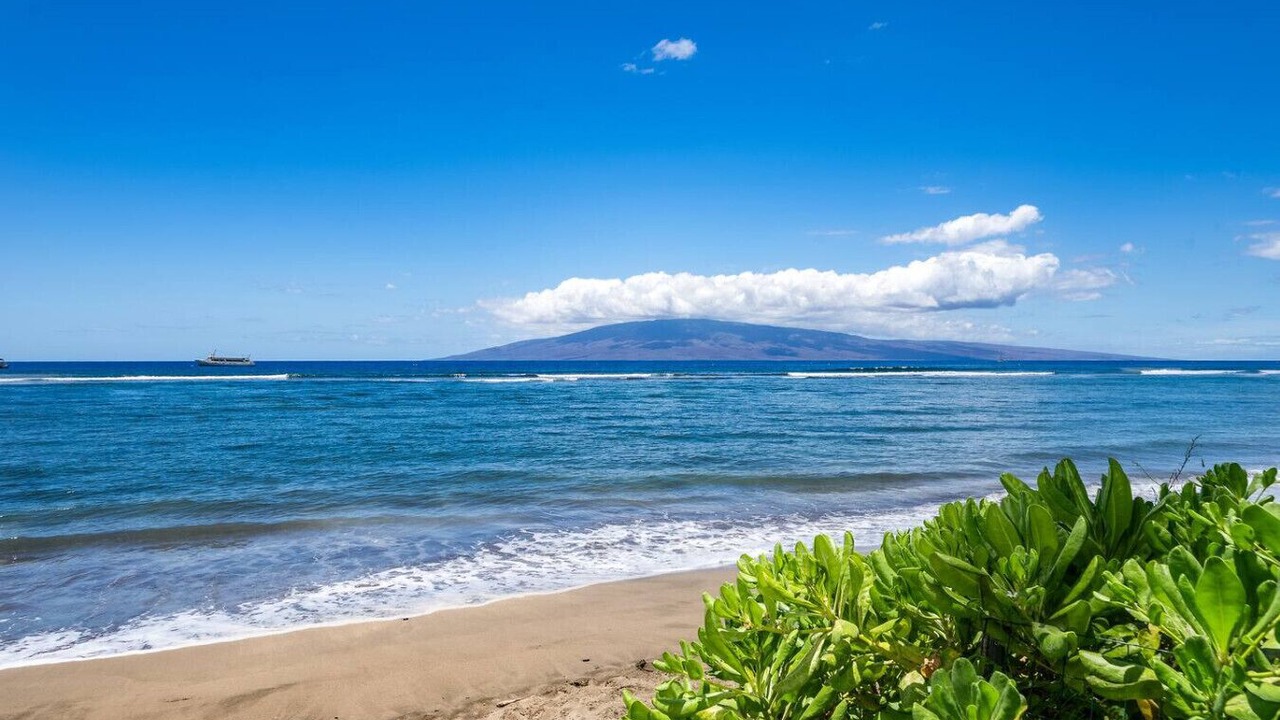 Photo of Others in Historic Lahaina Front Street