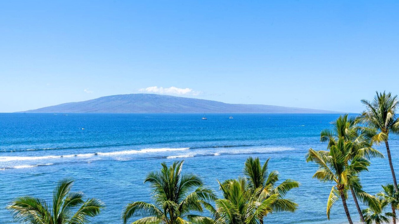 Photo of Others in Historic Lahaina Front Street