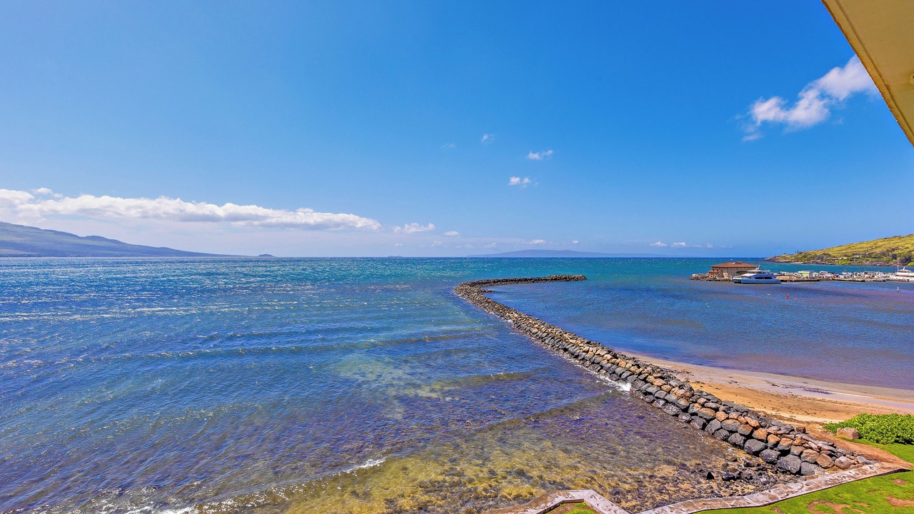 Photo of Others in Maalaea