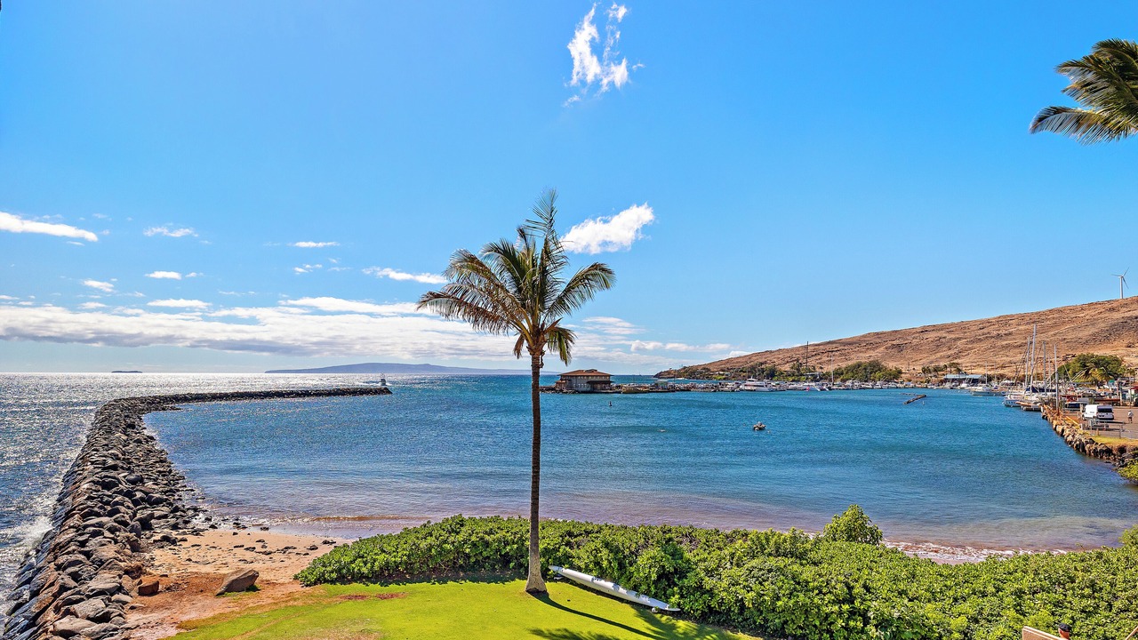 Photo of Others in Maalaea