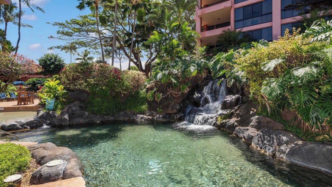 Photo of Outdoor in Kahana