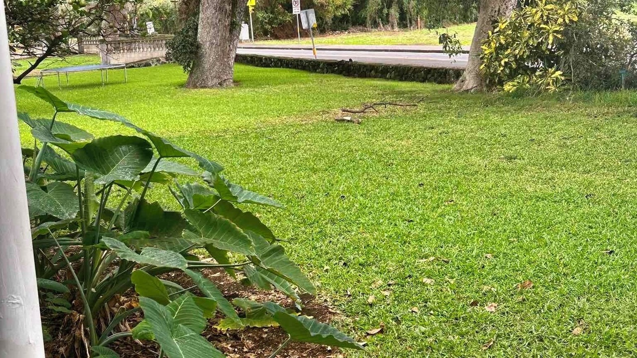 Photo of Outdoor in Naalehu