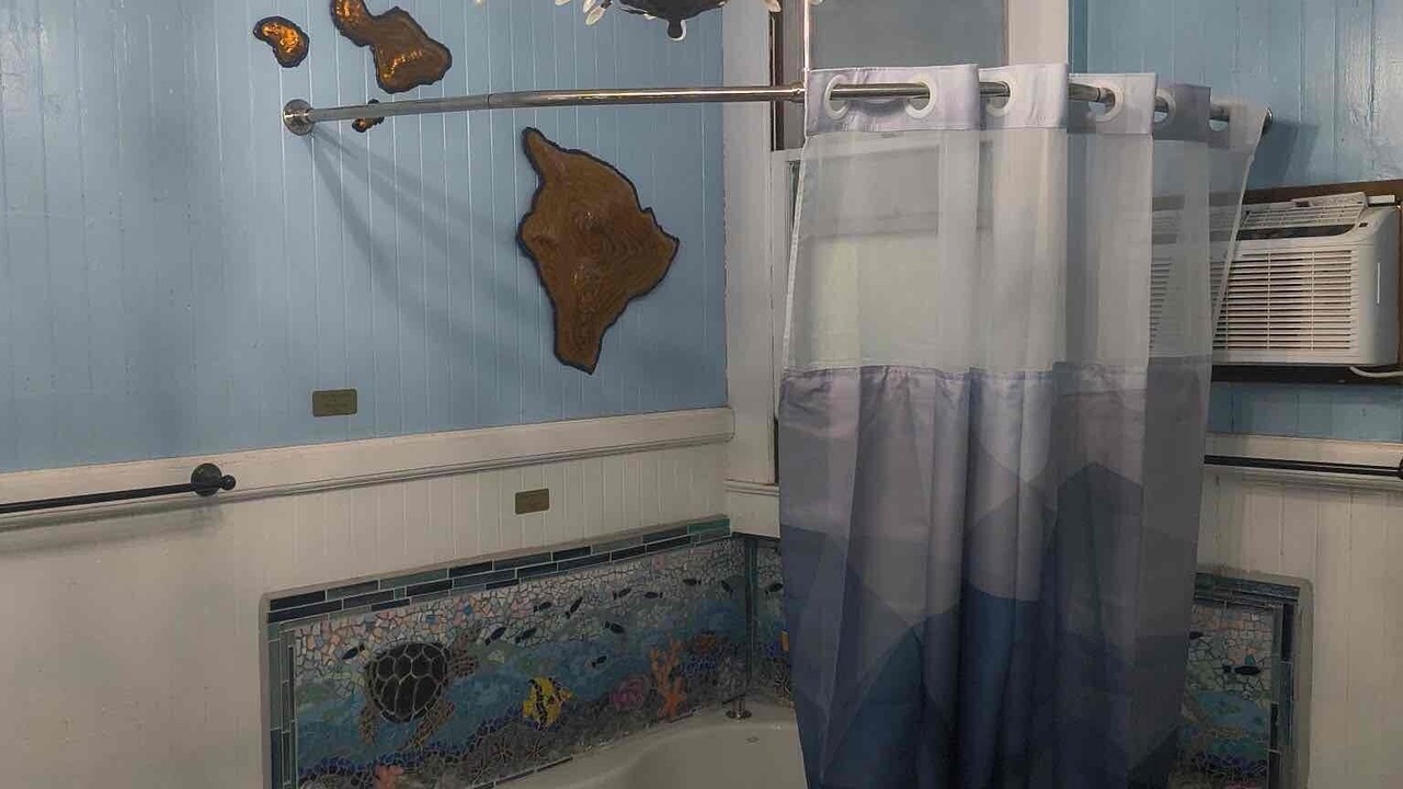 Photo of Bathroom in Naalehu