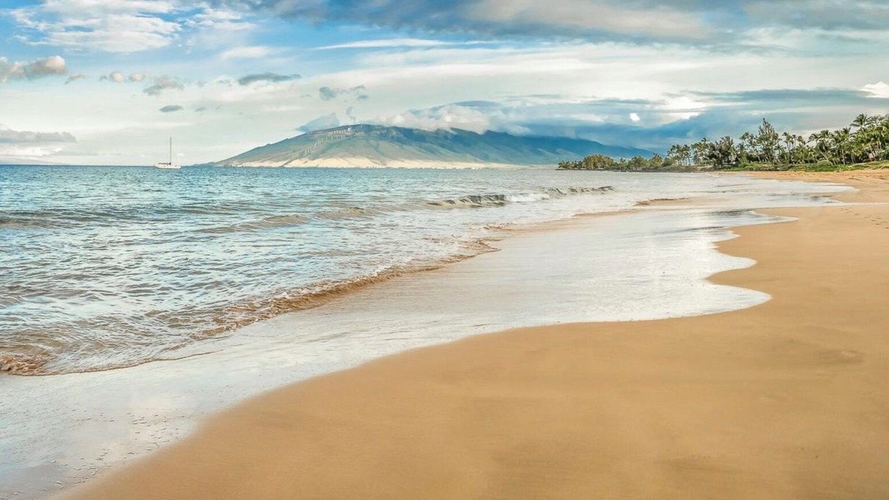 Photo of Others in Kihei