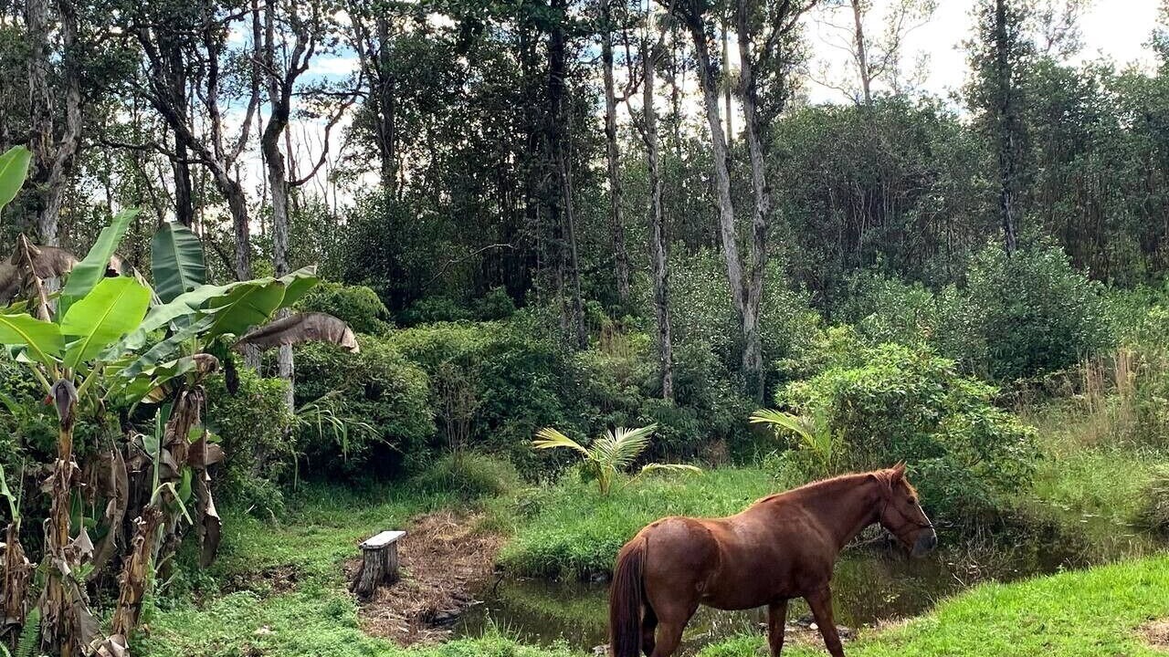 Photo of Others in Hawaiian Acres
