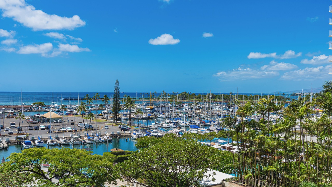 Photo of Others in Waikiki