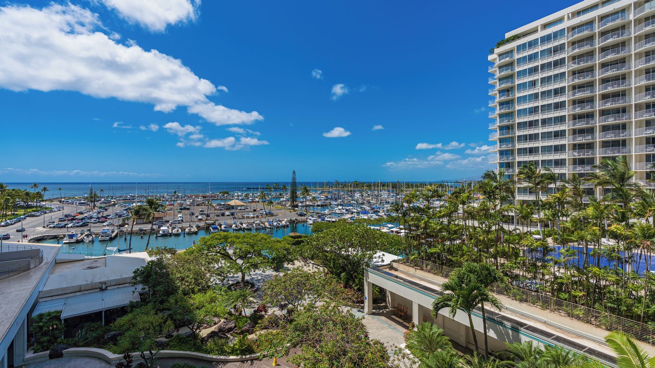Photo of Others in Waikiki
