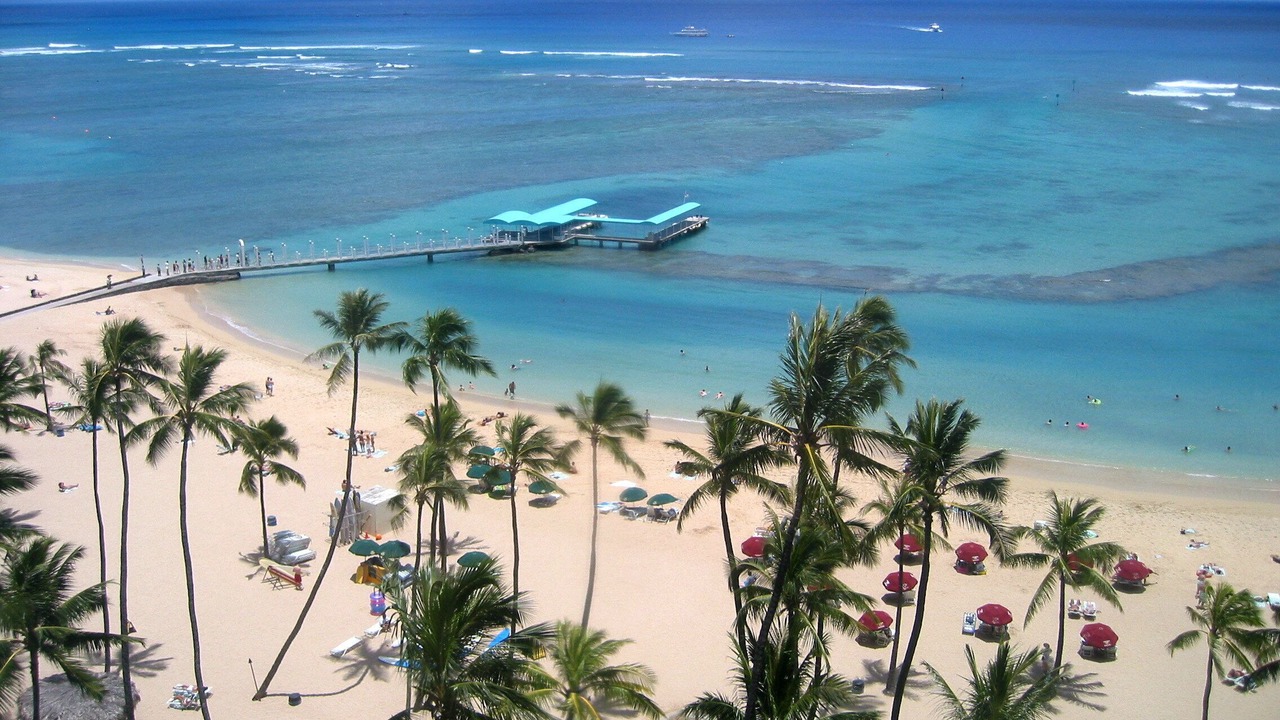 Photo of Others in Waikiki