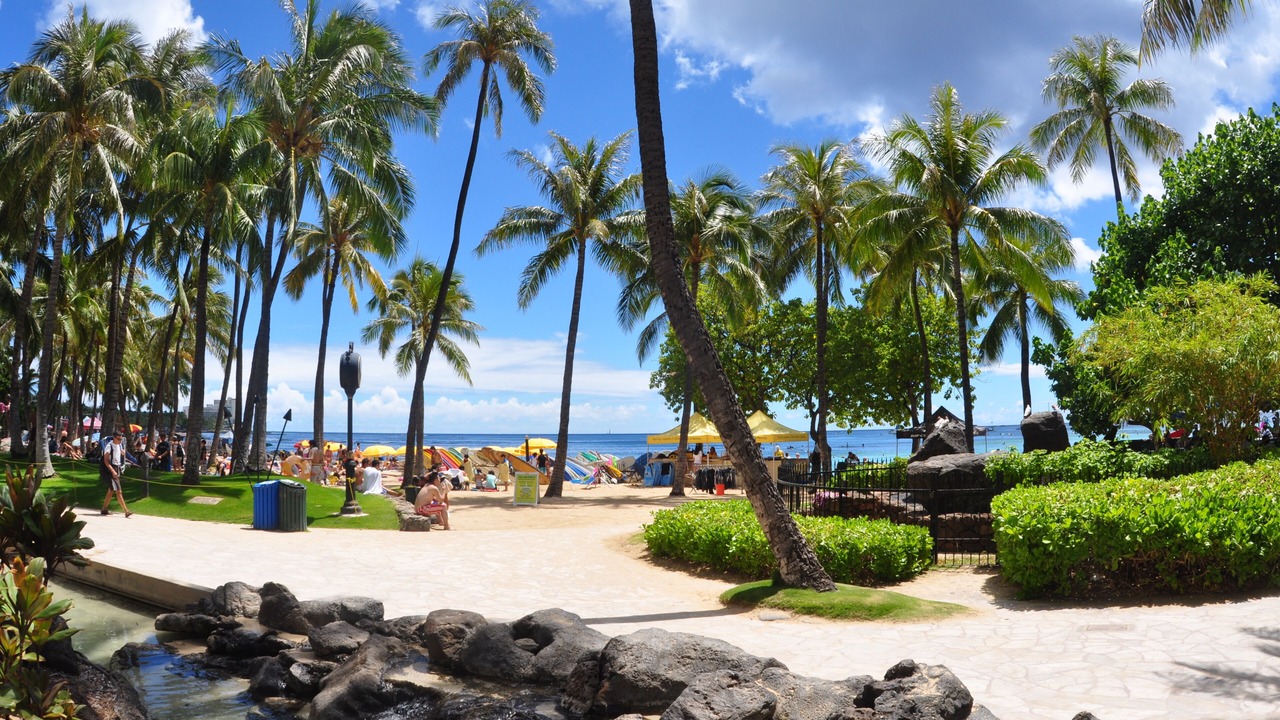 Photo of Others in Waikiki