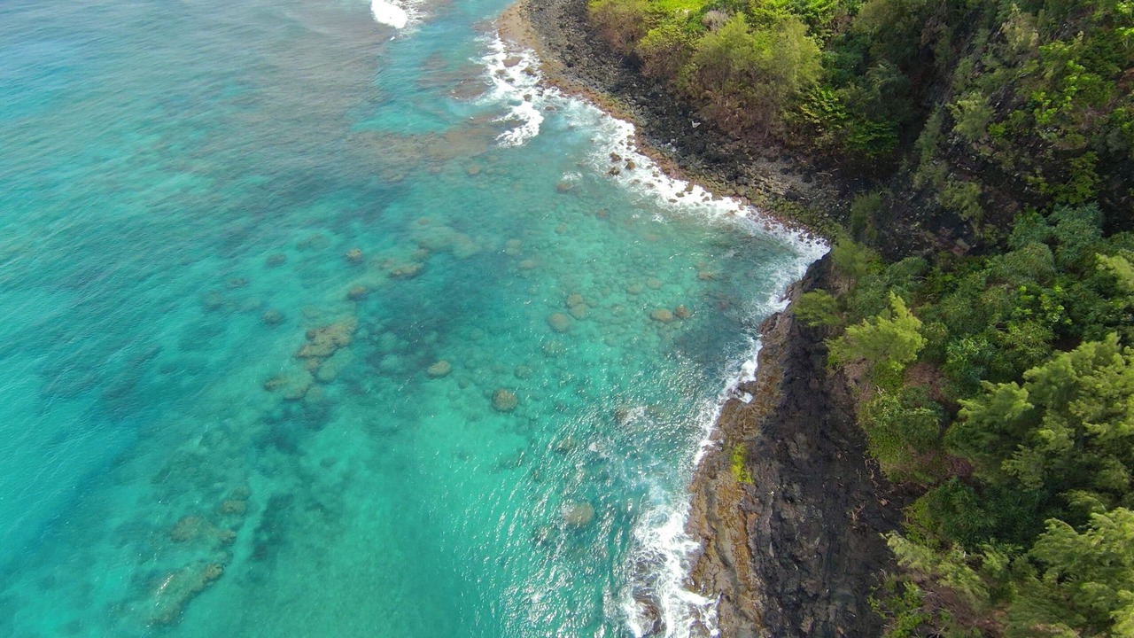 Photo of Outdoor in Wailua