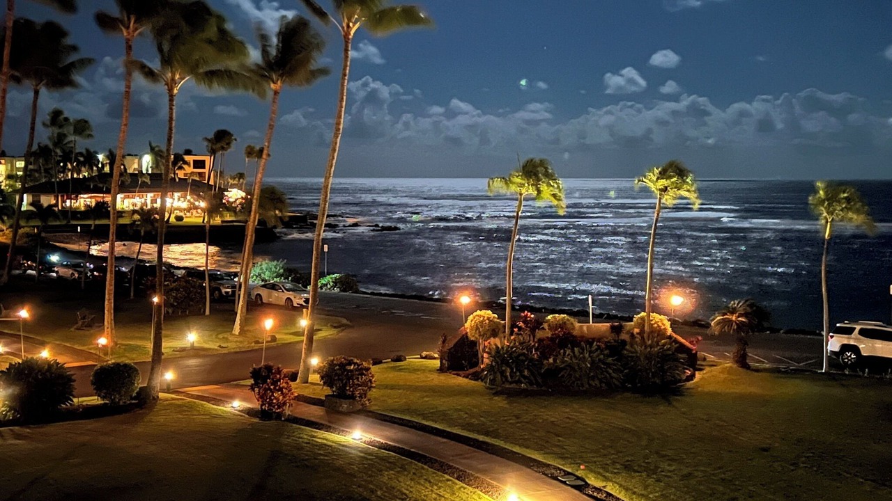 Photo of Others in Poipu