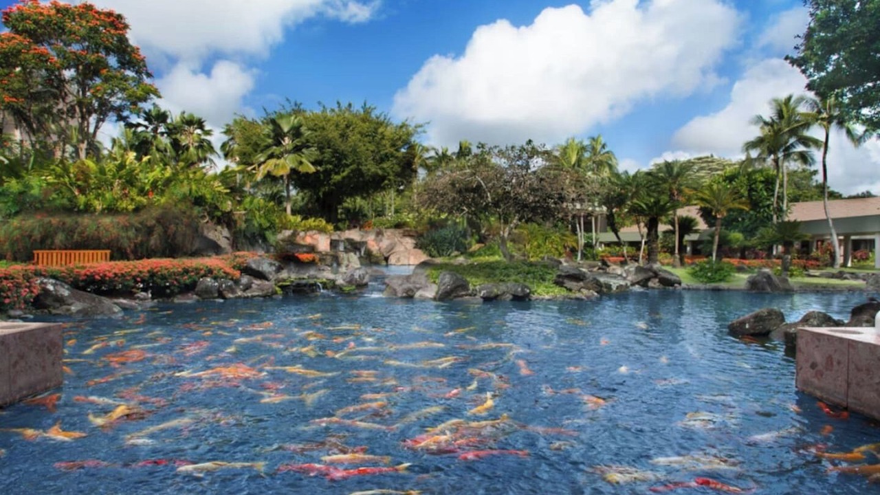 Photo of Outdoor in Lihue