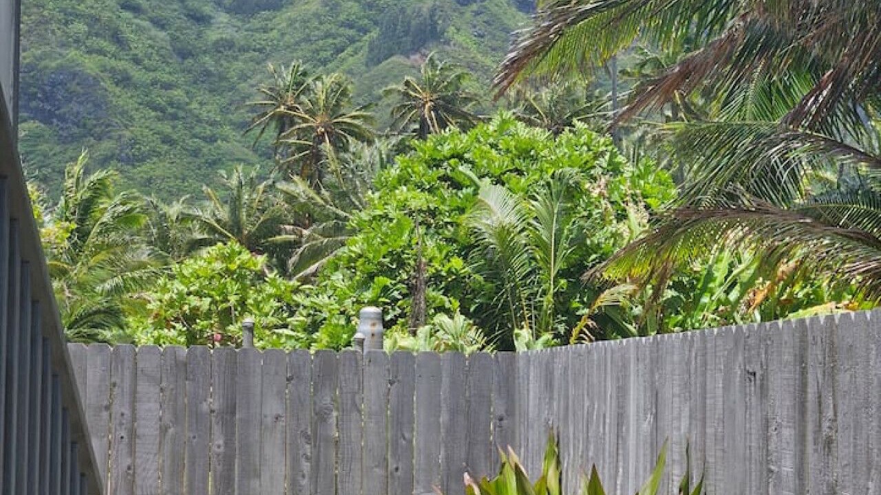Photo of Outdoor in Punaluu
