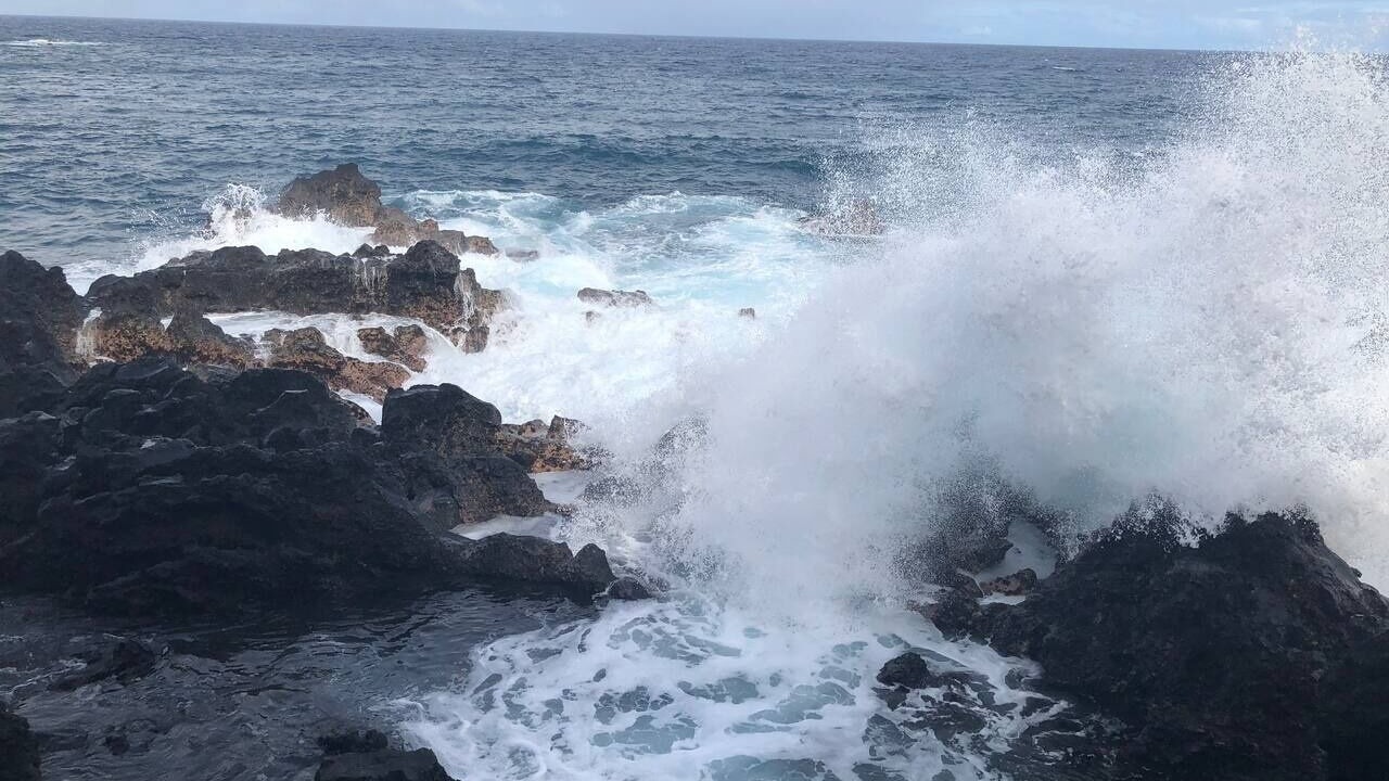 Photo of Others in Puna Palisades