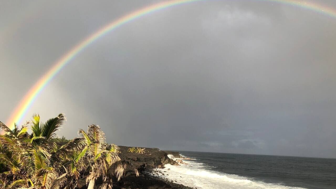 Photo of Others in Puna Palisades