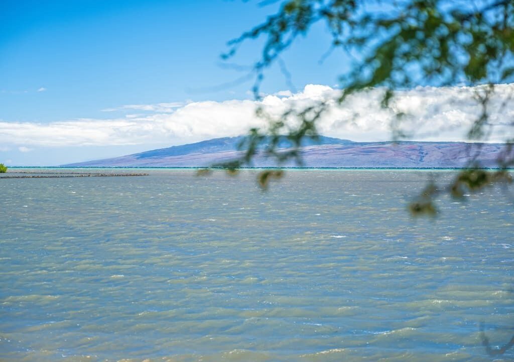 Photo of Others in Kaunakakai