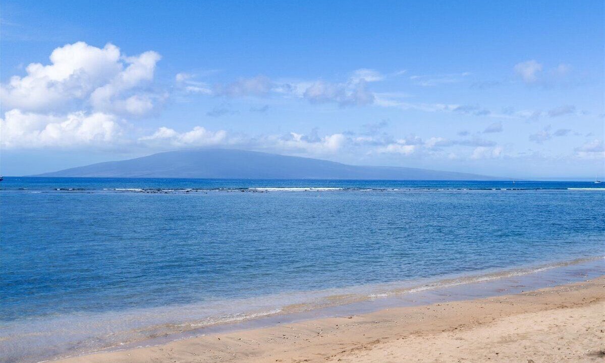 Photo of Others in Historic Lahaina Front Street