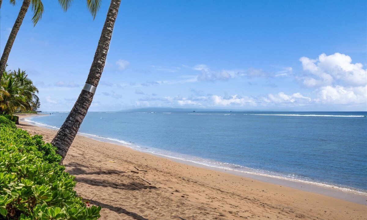 Photo of Others in Historic Lahaina Front Street