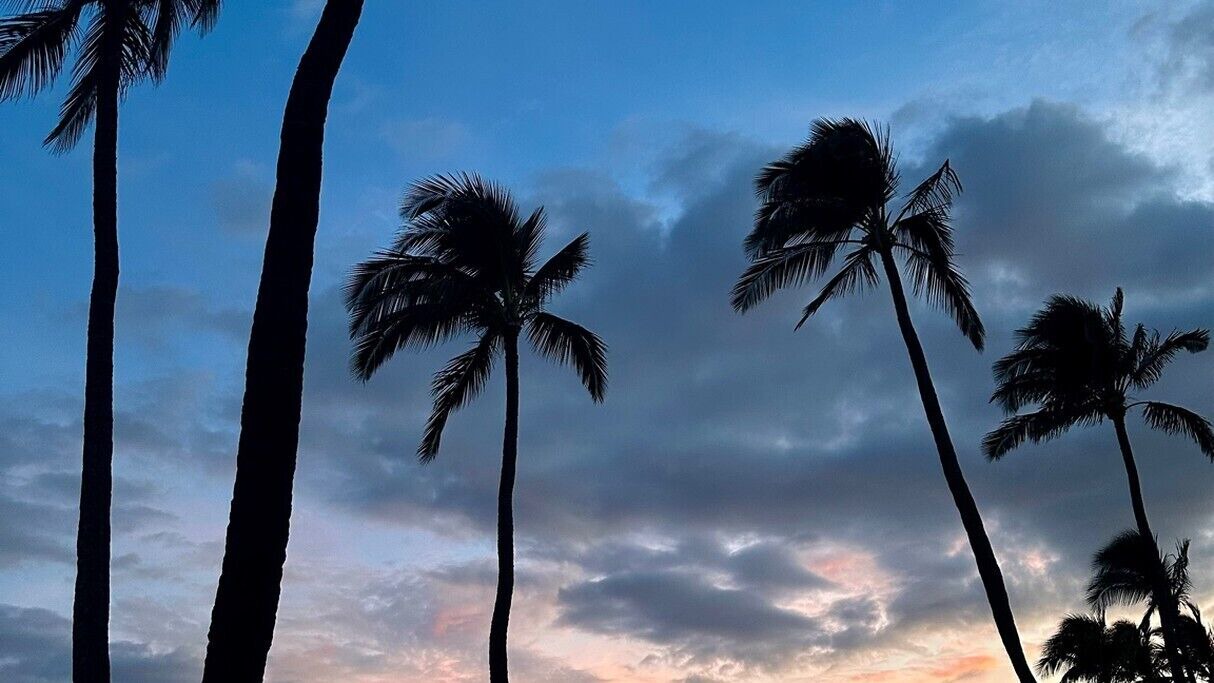 Photo of Others in Maalaea