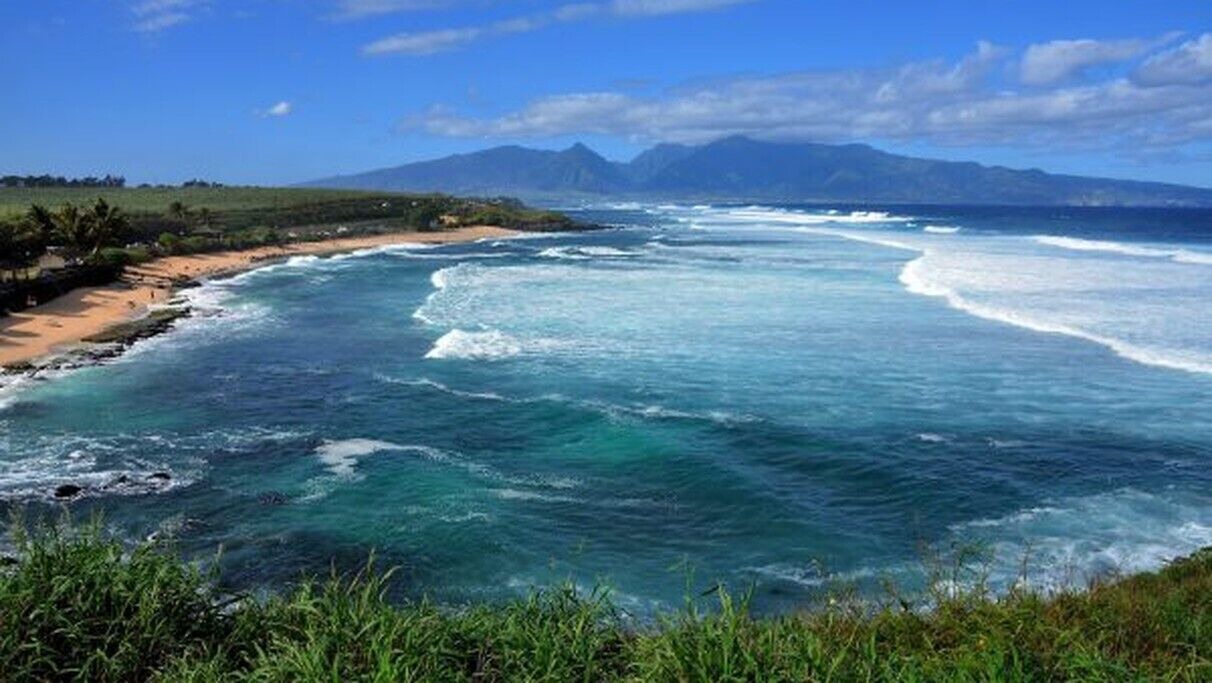 Photo of Others in Maalaea