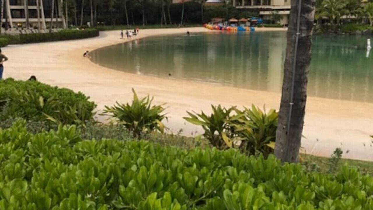 Photo of Others in McCully - Moiliili