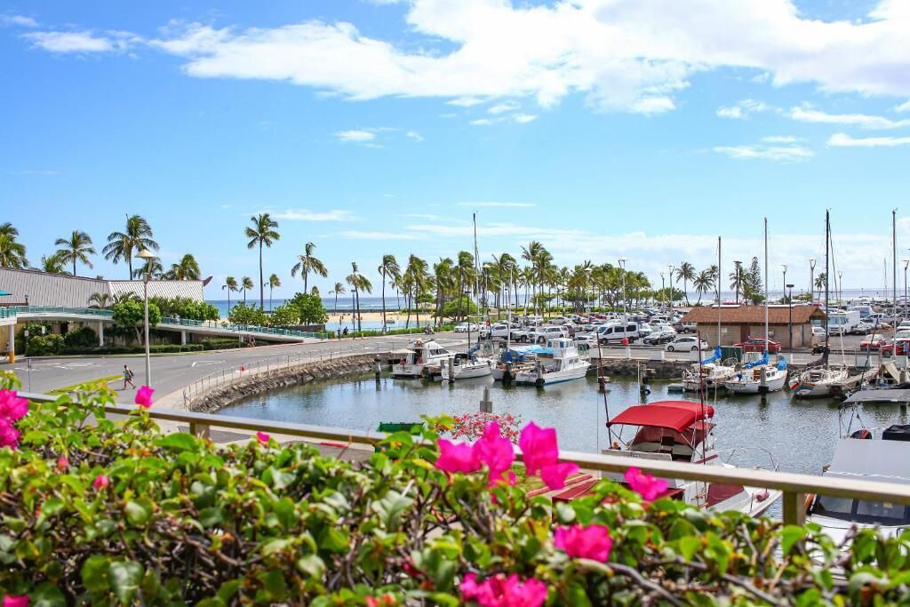 Photo of Others in Waikiki
