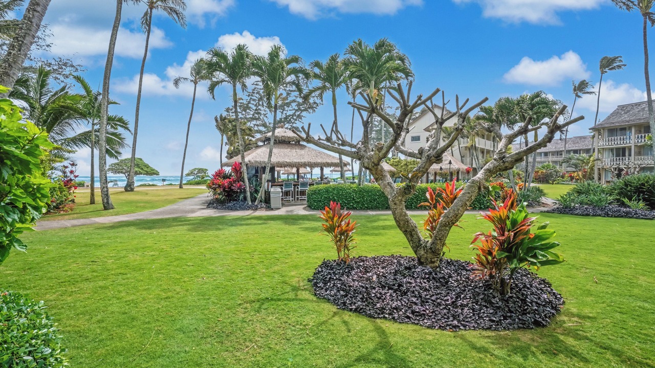 Photo of Others in Wailua