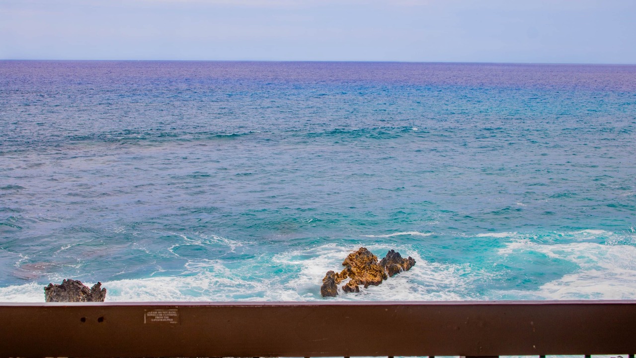 Photo of Others in Kahaluu-Keauhou
