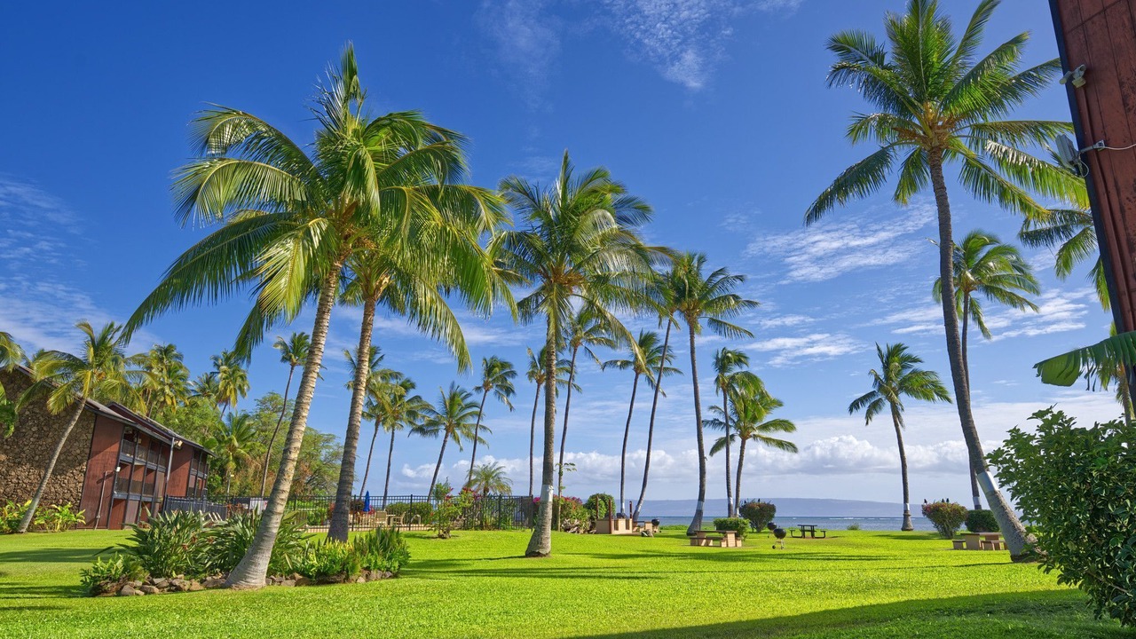 Photo of Outdoor in Kaunakakai