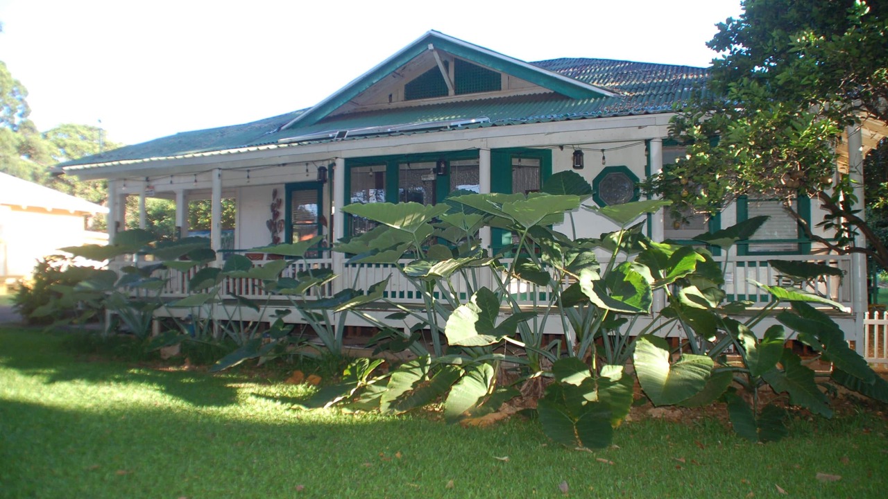 Photo of Others in Naalehu