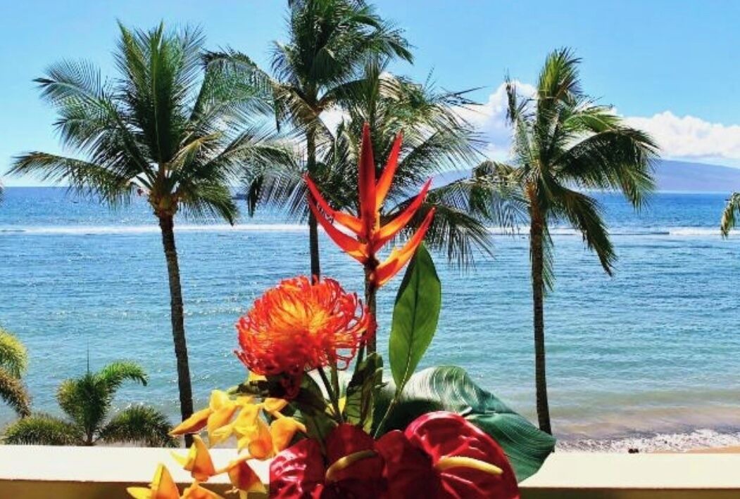 Photo of Others in Historic Lahaina Front Street