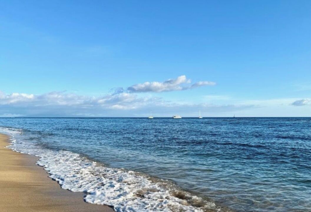 Photo of Others in Historic Lahaina Front Street