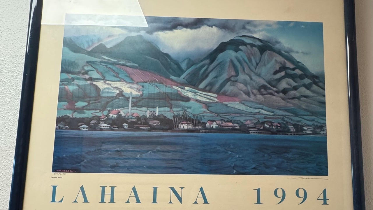 Photo of Others in Historic Lahaina Front Street