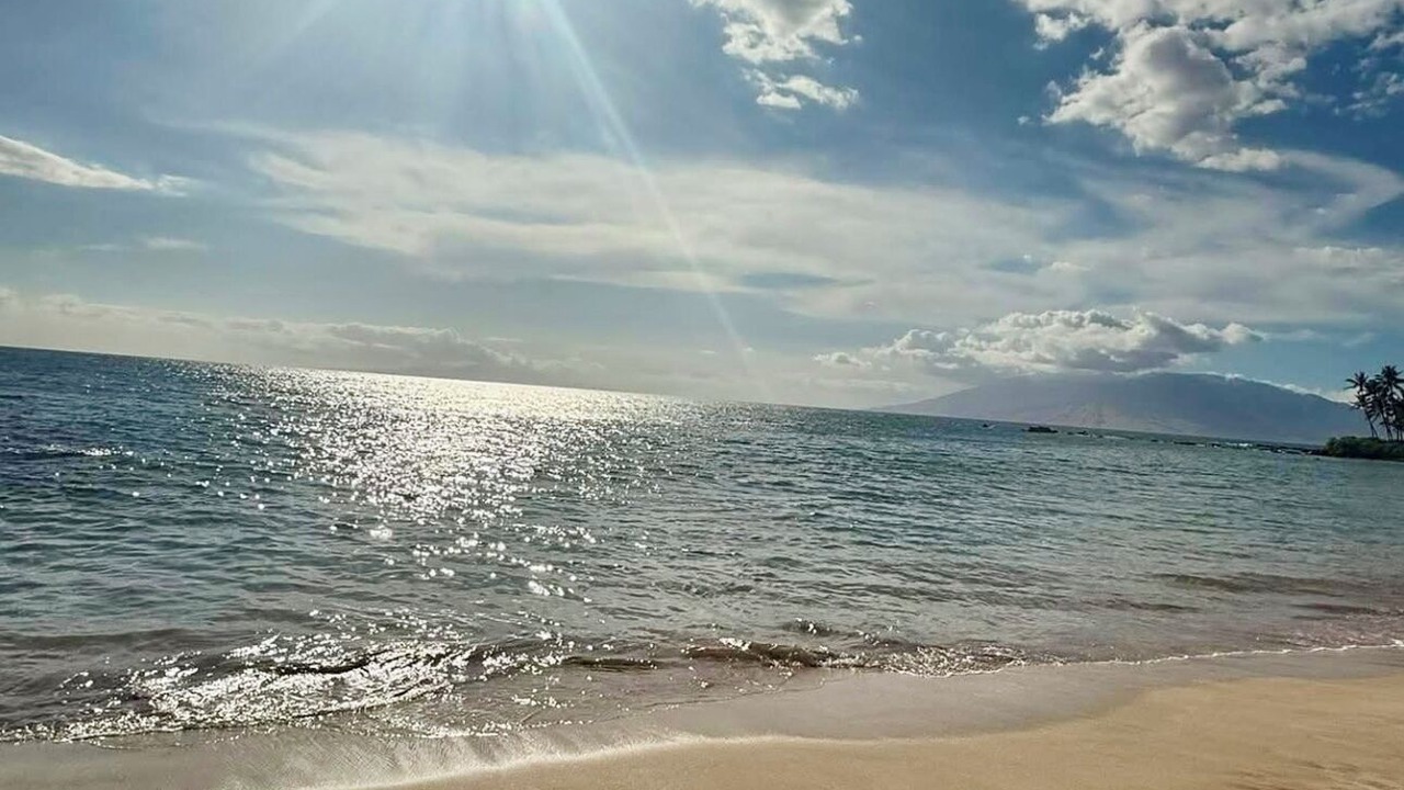 Photo of Others in Historic Lahaina Front Street