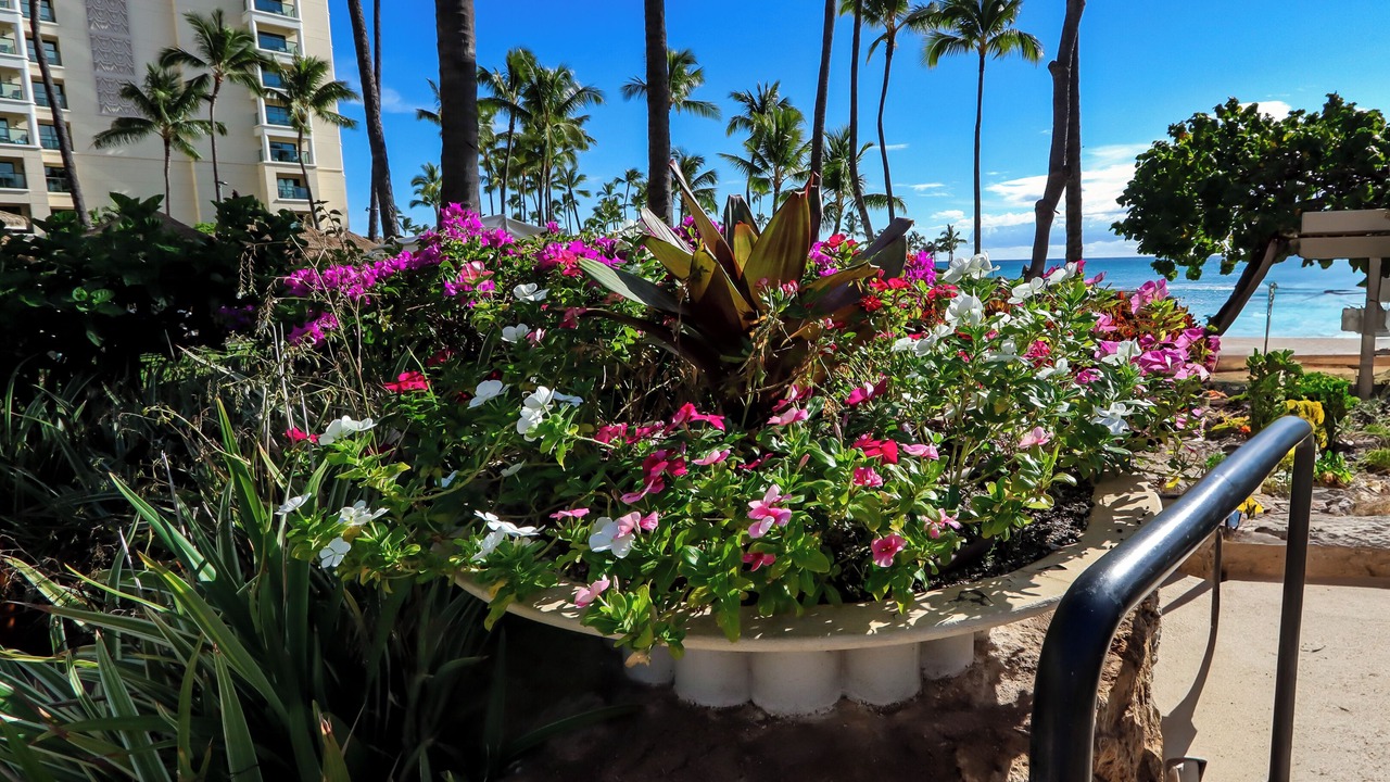 Photo of Outdoor in Ko Olina