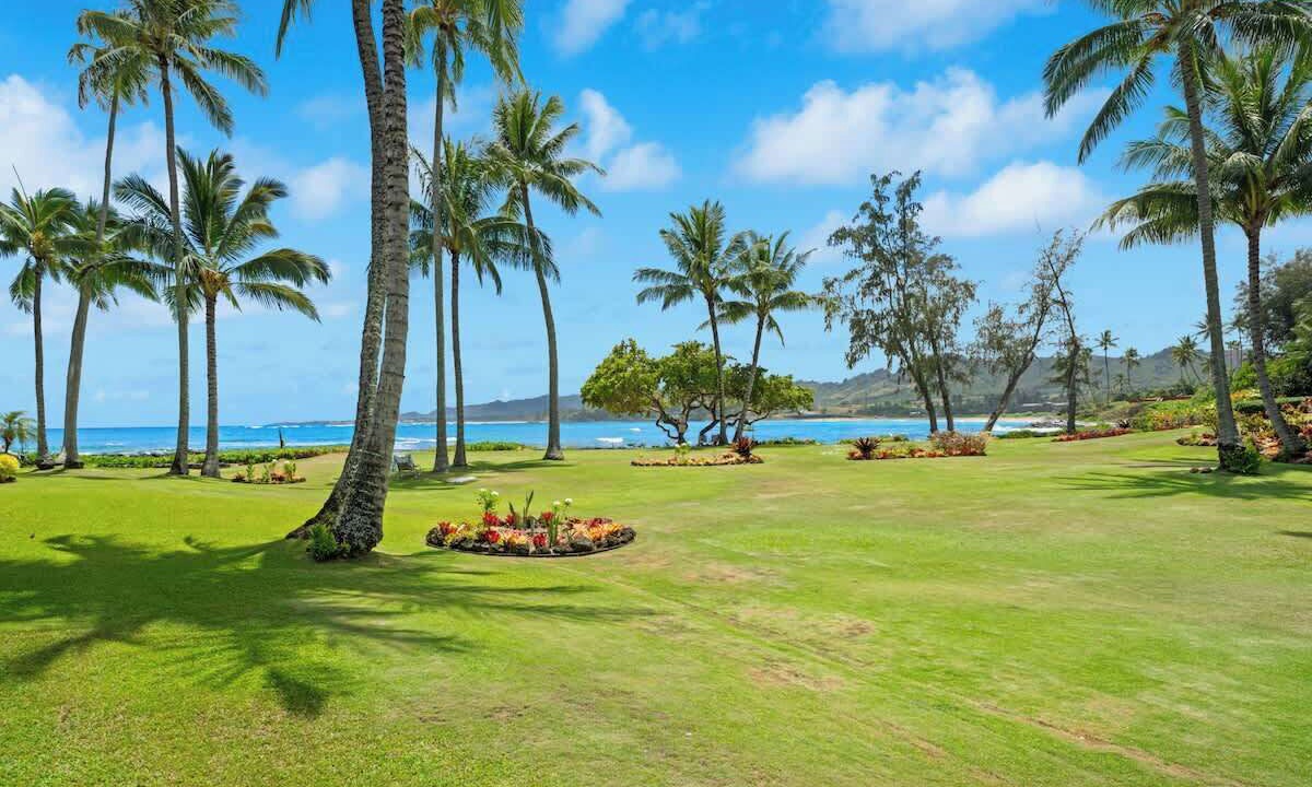 Photo of Others in Wailua