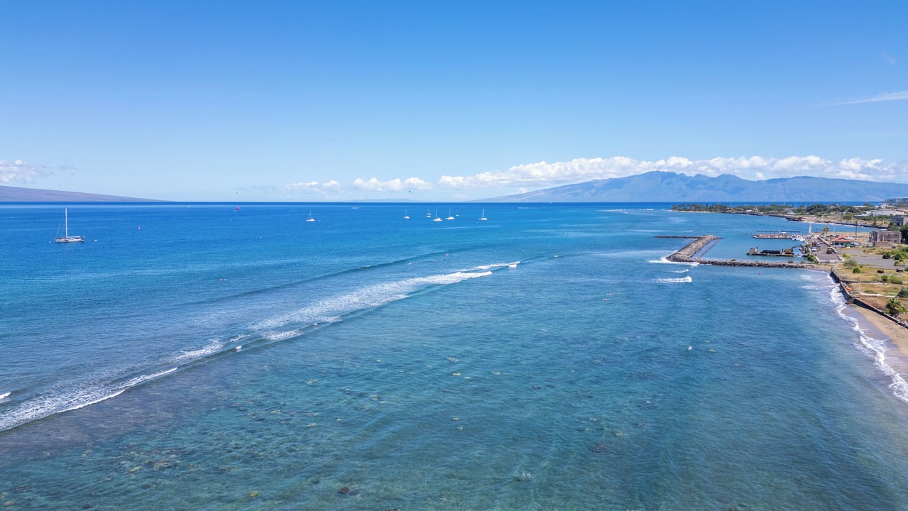 Photo of Others in Historic Lahaina Front Street